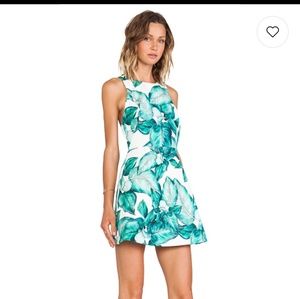 C/meo collection dress warm thoughts in lilly palm